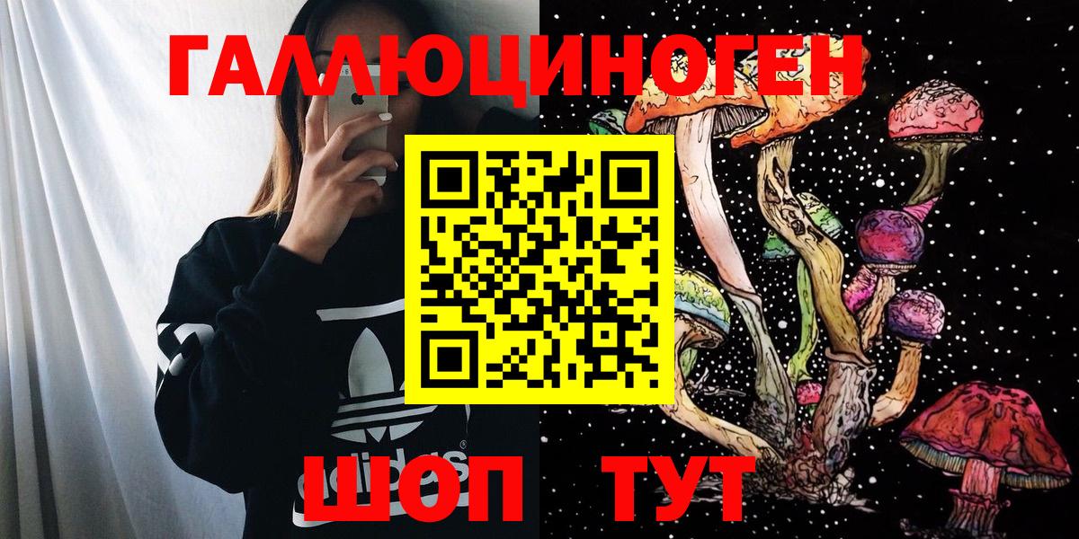 Жуковский  Псилоцибиновые грибы мухоморы  Вход с VPN 